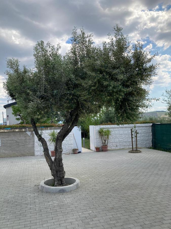 Villa Mater Matera Exterior photo